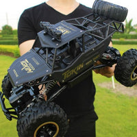 Radio Control 2.4 GHZ RC Trucks